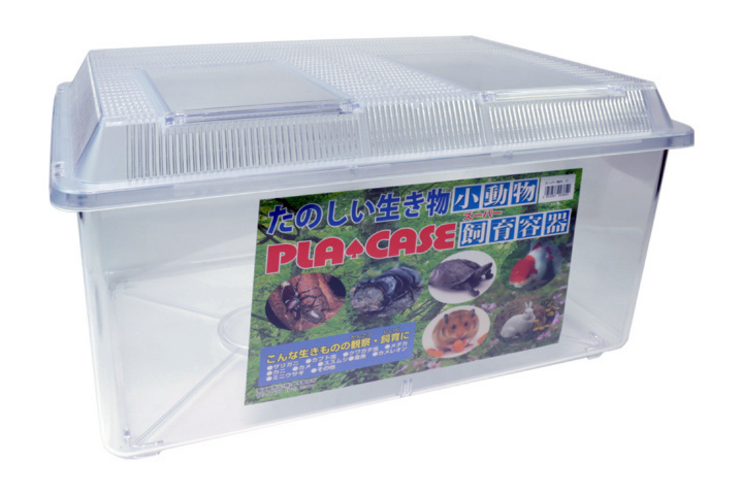 爬虫類の生餌昆虫の管理におすすめの飼育容器（プラケース） | SHULOG