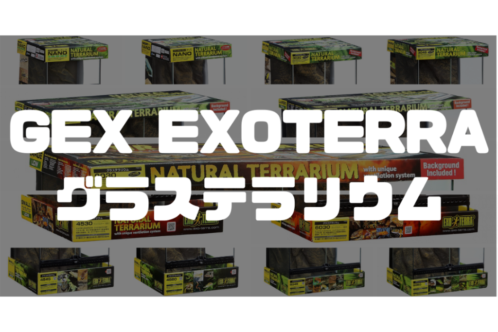 ☆ GEX EXOTERRA グラステラリウム6030 P ×H33cm 339の+spbgp44.ru