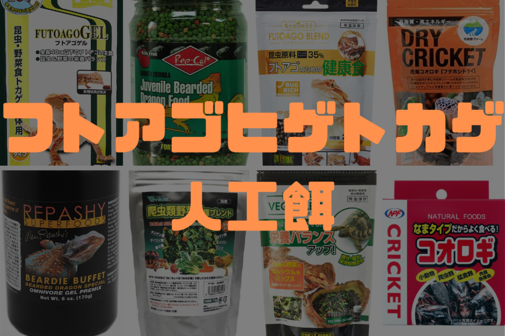 【フトアゴヒゲトカゲ】雑食性トカゲの飼育にオススメの人工餌を紹介! - 66De3710ca7eb5fa35bD2005622b777a 1024x683